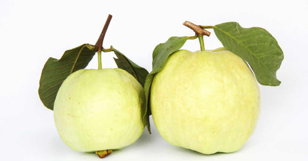 How To Use Guava Leaves For Flat Tummy