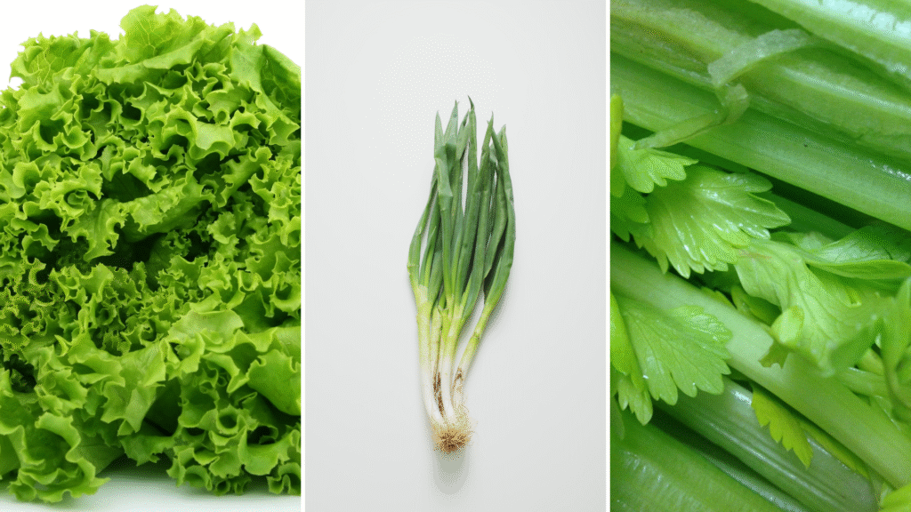 10 Vegetables That Grow from Cuttings in Water